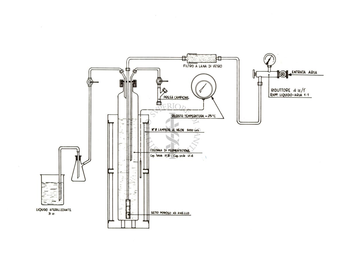 Disegni di fermentatori per la crescita di microrganismi