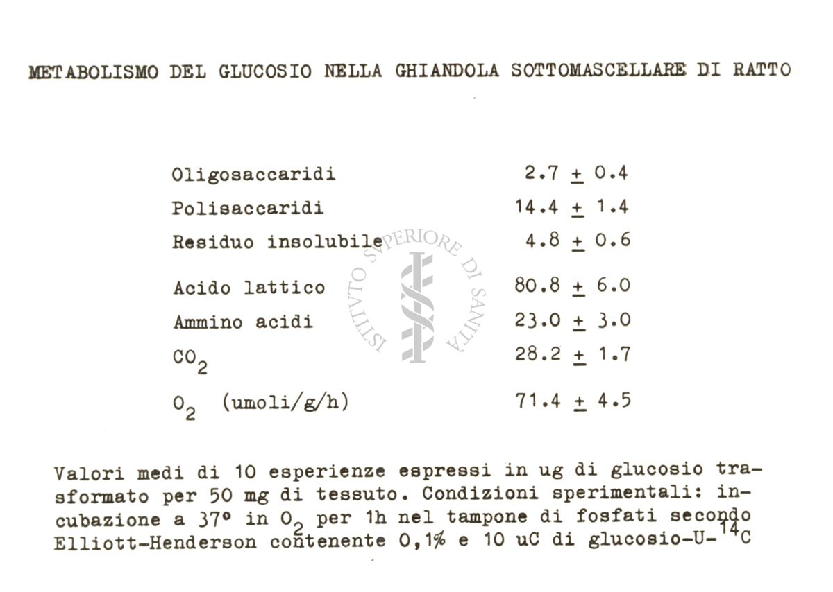 Studi in vivo sul metabolismo del glucosio