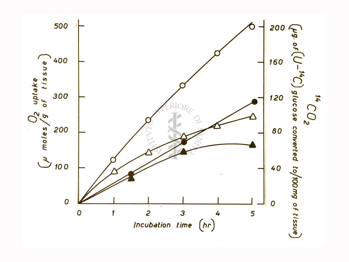 Studi metabolici