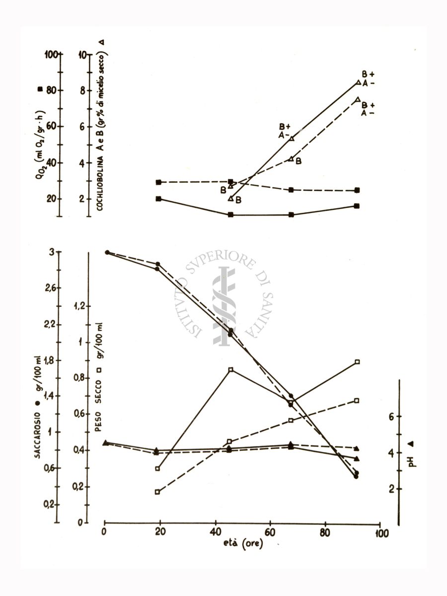 Studi metabolici