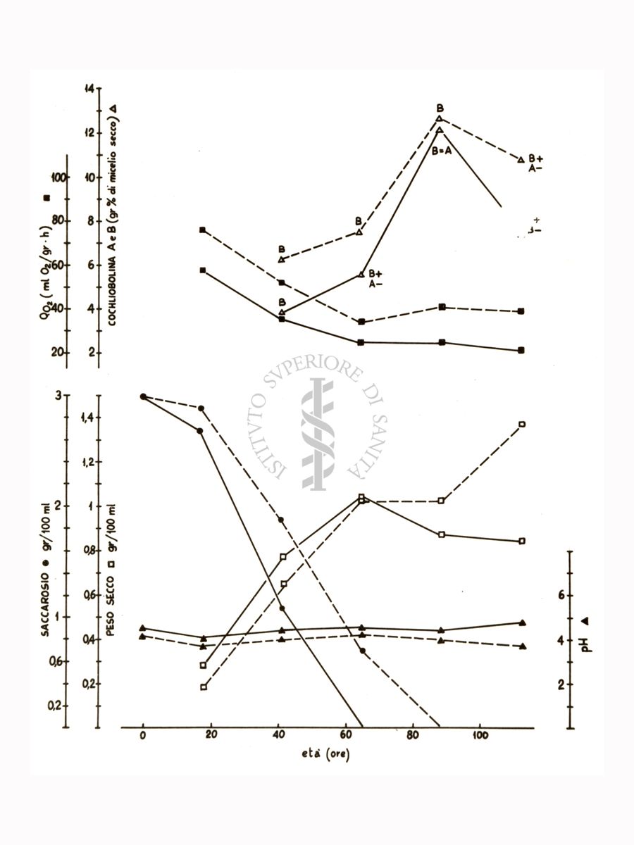 Studi metabolici