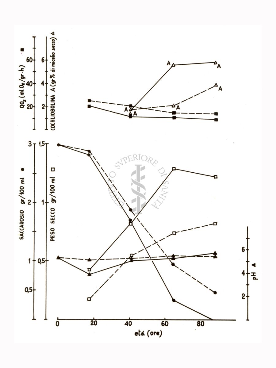 Studi metabolici