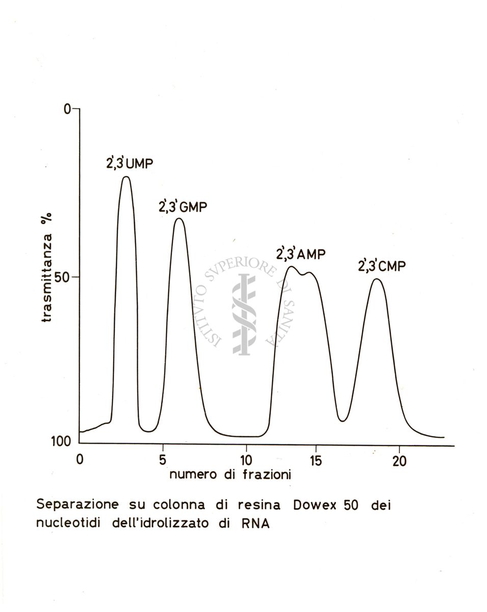 Studi metabolici