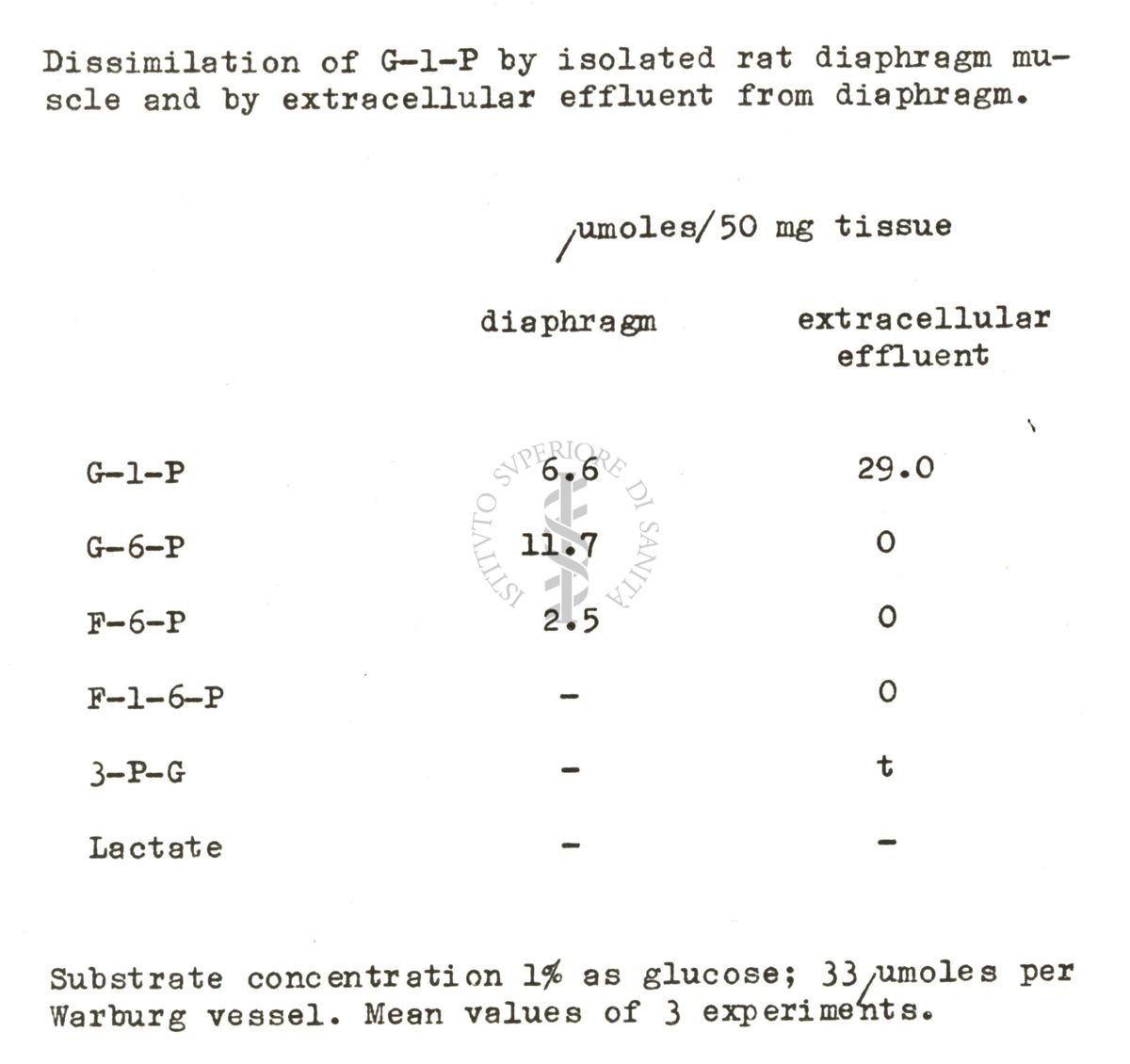 Studi metabolici sul diagramma di ratto isolato