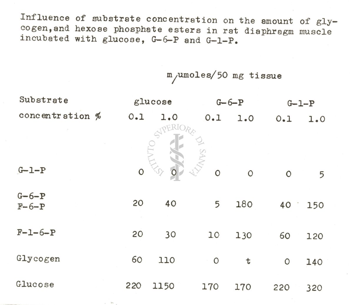 Studi metabolici sul diagramma di ratto isolato