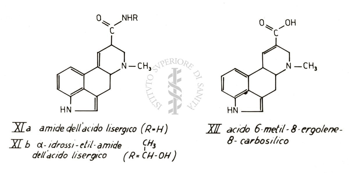 Studi metabolici con traccianti radioattivi