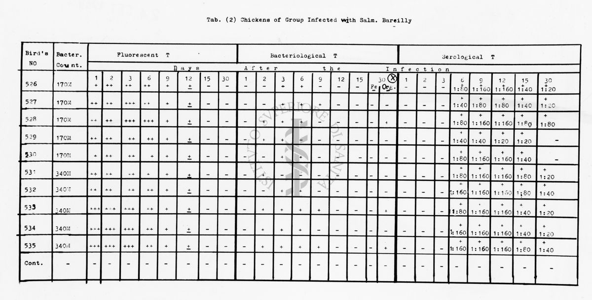 nella foto tabella con dati Chickens of group infected with Salm. Bareilly