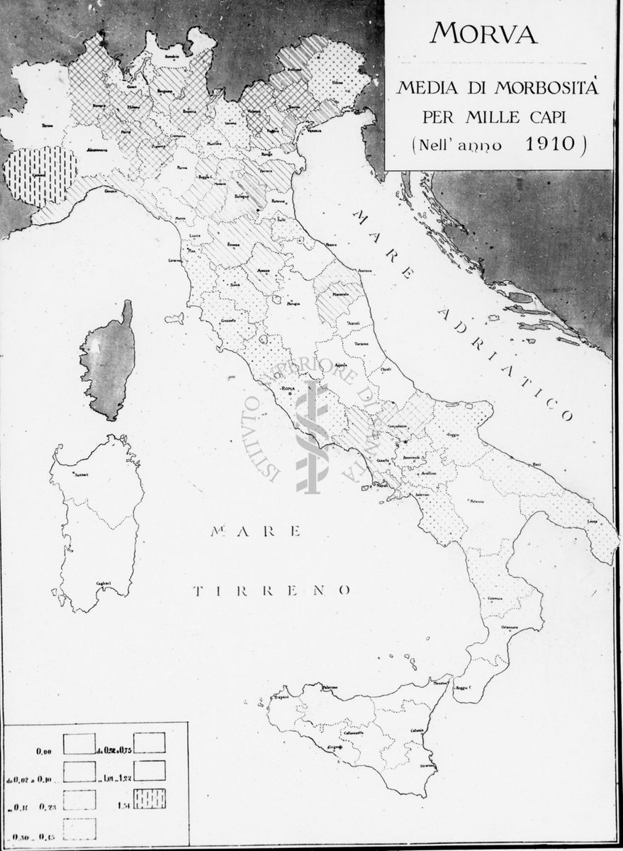 Cartogramma riguardante la Morva. Media di morbosità per mille capi nell'anno 1910