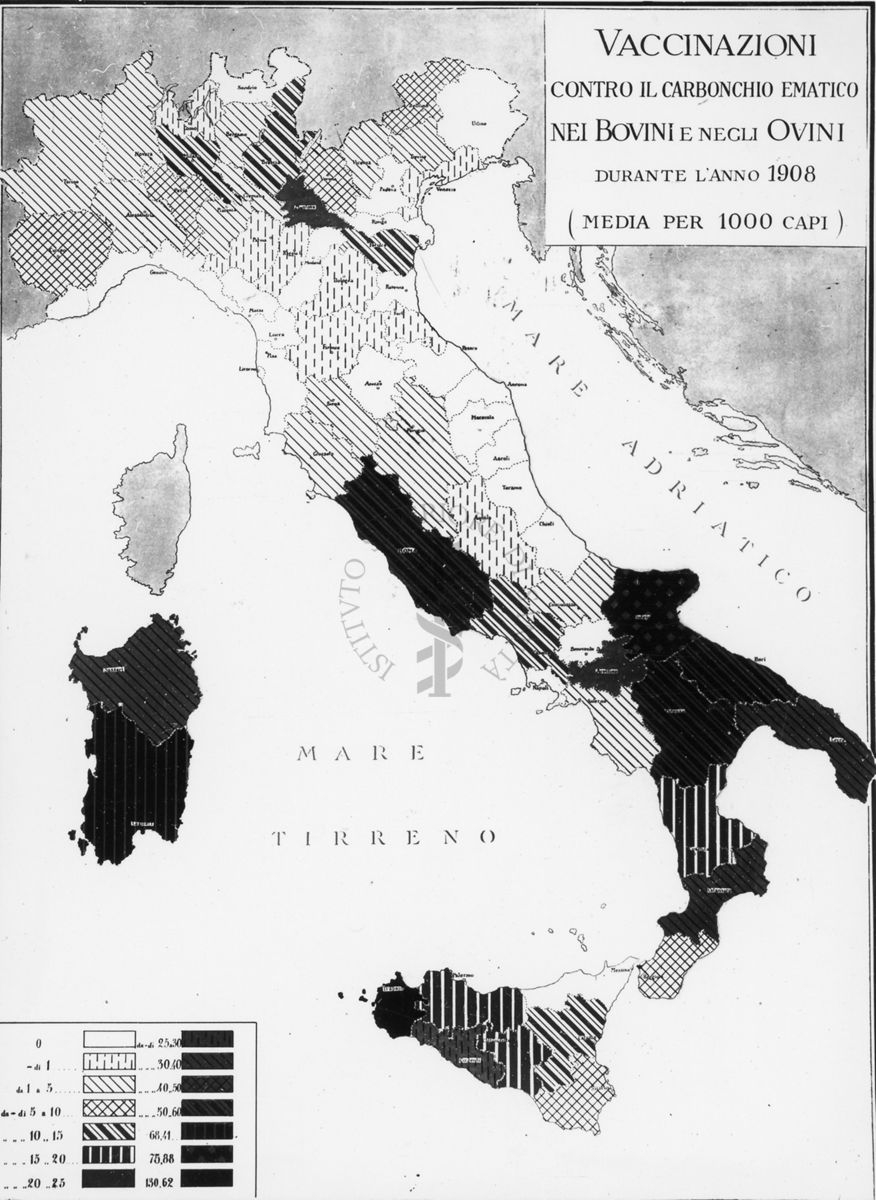 Cartogramma riguardante le vaccinazioni contro il carbonchio Ematico nei bovini e negli ovini durante l'anno 1908