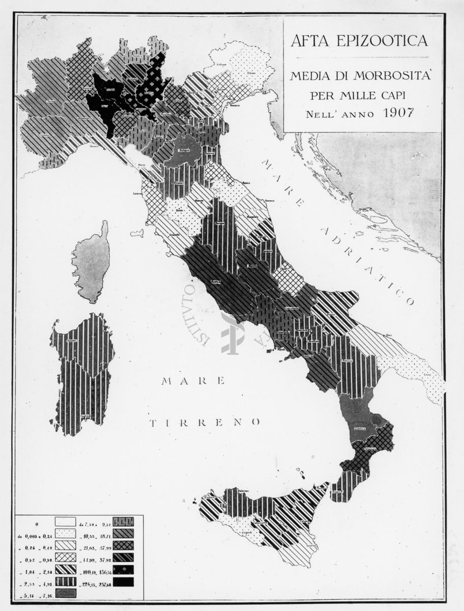 Cartogramma riguardante l'Afta  Epizootica. Media di morbosità per mille capi nell'anno 1907