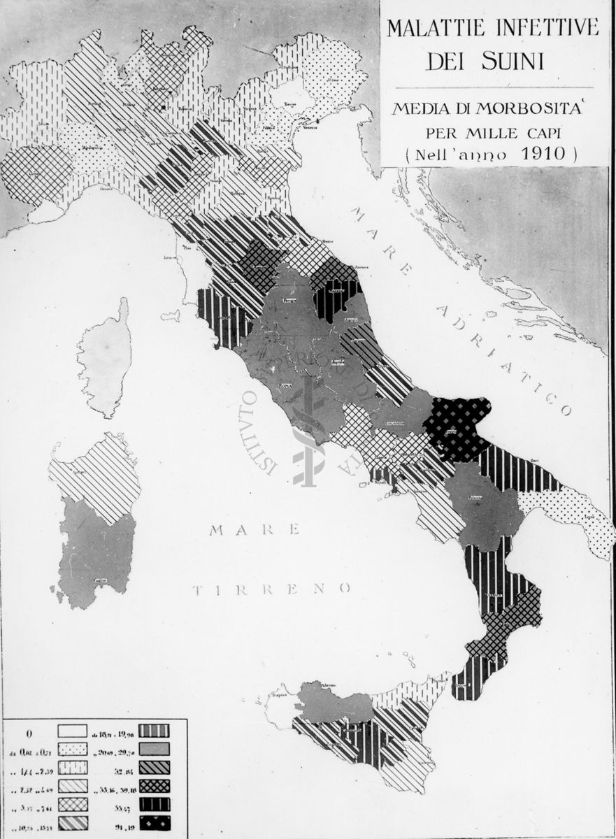 Cartogramma riguardante le malattie infettive di suini. Media di morbosità per mille capi nell'anno 1910