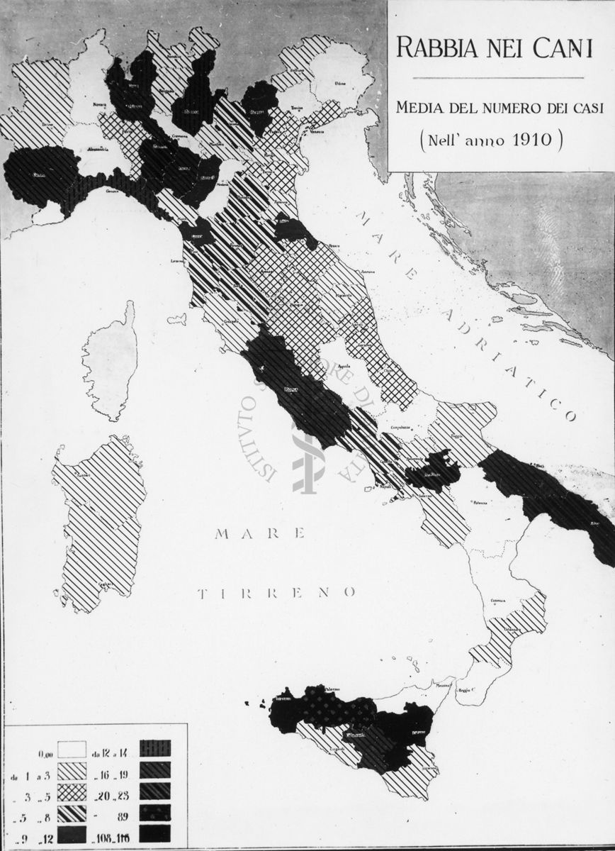 Cartogramma riguardante le Rabbia nei cani. Media del numero dei casi nell'anno 1910