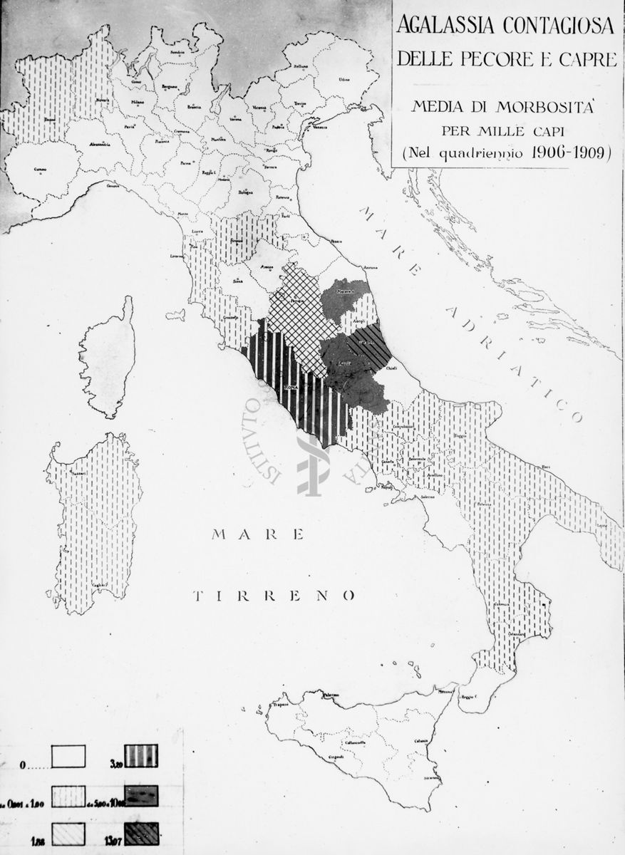 Cartogramma riguardante  la Agalassia contagiosa delle pecore e capre. Media di morbosità per mille capi (quadriennio 1906-1909)