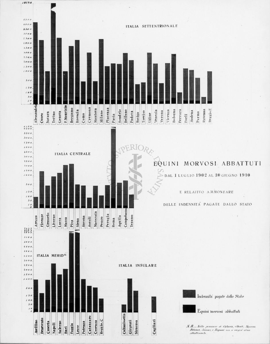 Diagramma riguardante gli Equini Morvosi abbattuti dal 1° luglio 1902 al 30 giugno 1910