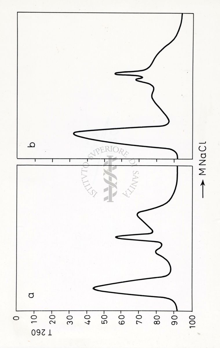 Grafici riguardanti studi su infettività di cellule