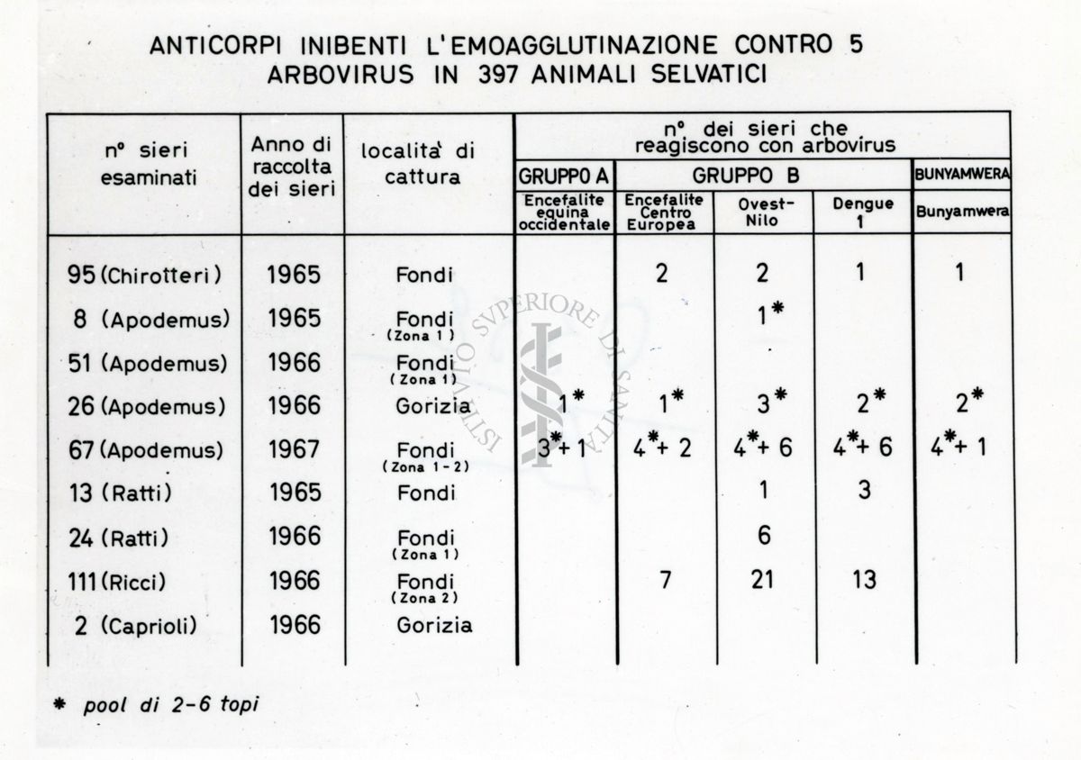 Anticorpi inibenti l'emo-agglutinazione contro 5 arbovirus in 397 animali selvatici