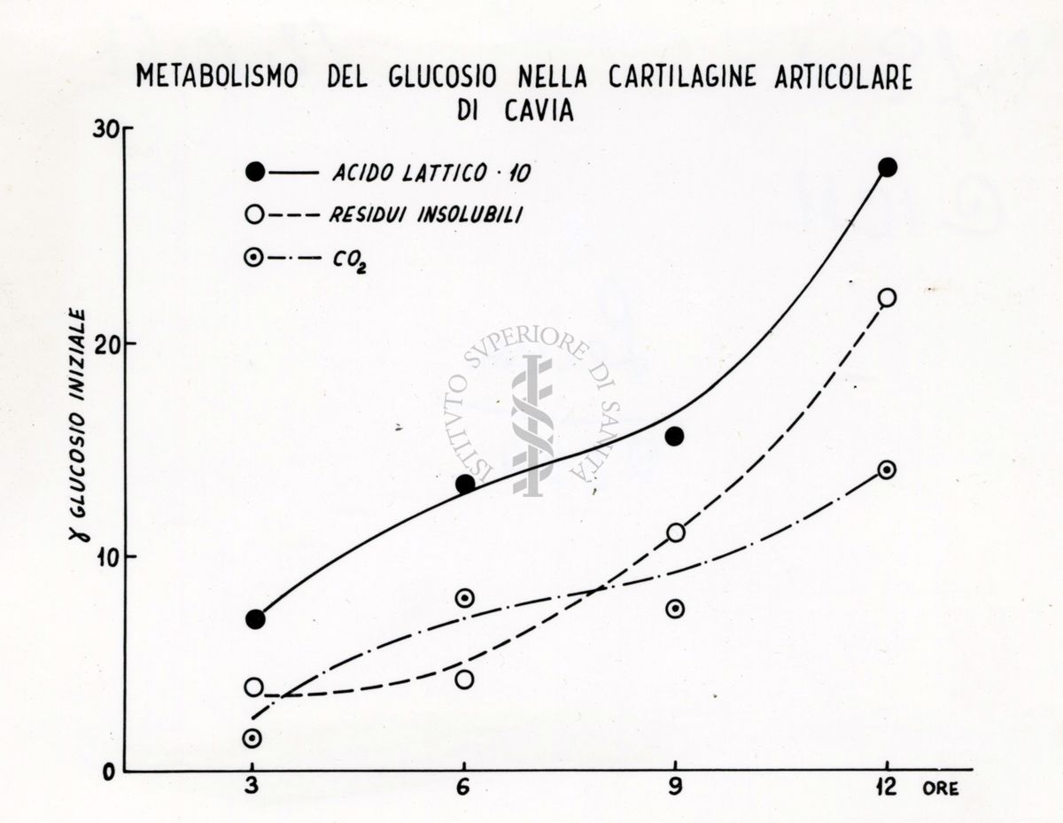 Tabella relativa al Metabolismo del glucosio nella cartilagine articolare di cavia