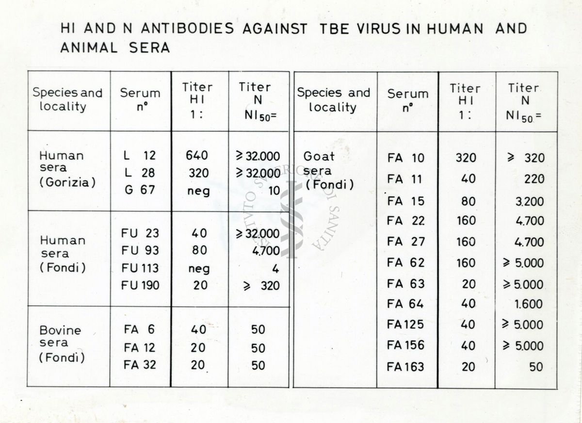 Grafico su: Hi and N antibodies against TBE virus in human and animal sera