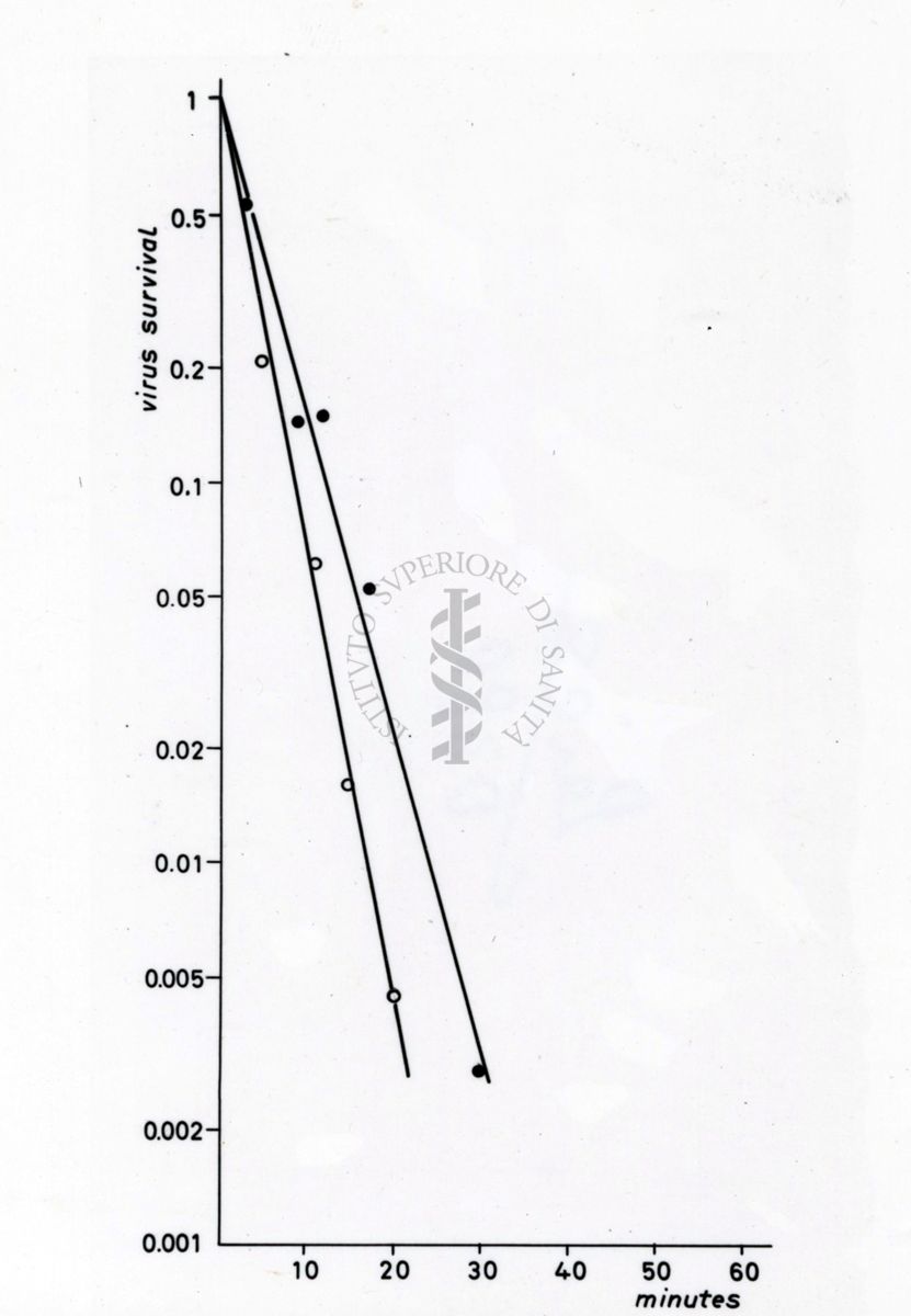 Studi microbiologici con grafici riguardanti la sopravvivenza dei virus nel tempo