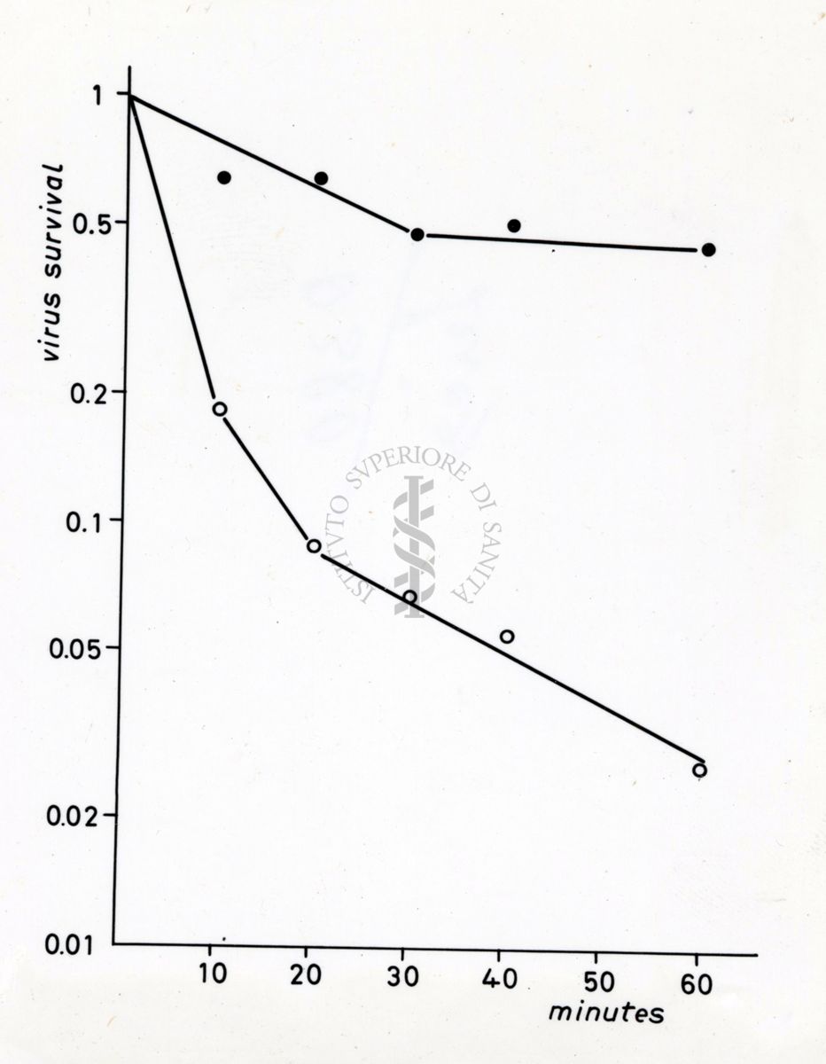 Studi microbiologici con grafici riguardanti la sopravvivenza dei virus nel tempo
