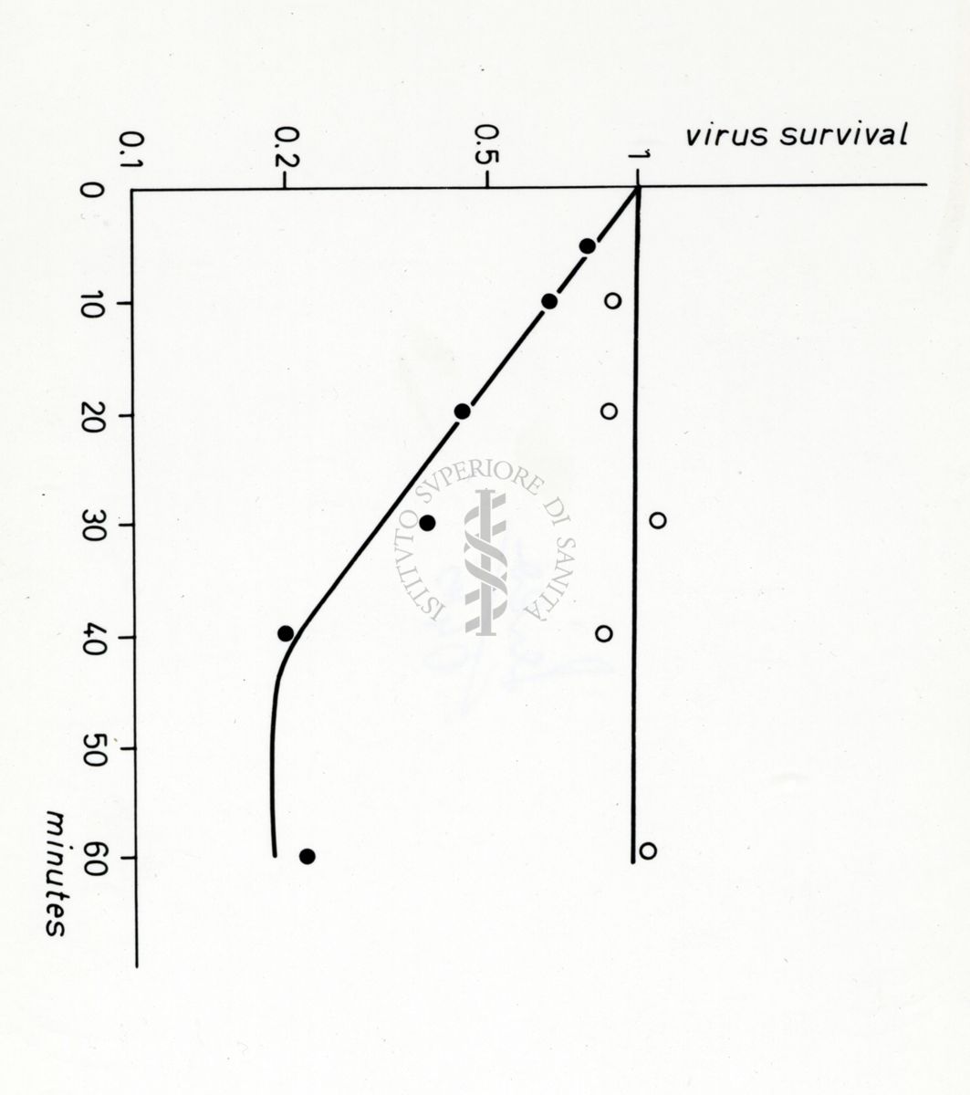 Grafici su studi microbiologici di virus