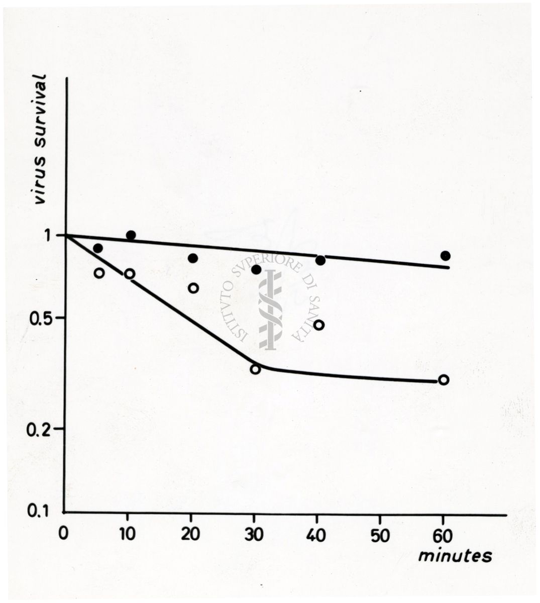 Grafici su studi microbiologici di virus