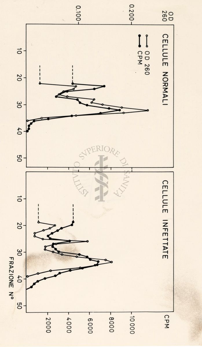 Grafici riguardanti studi microbiologici su cellule infette