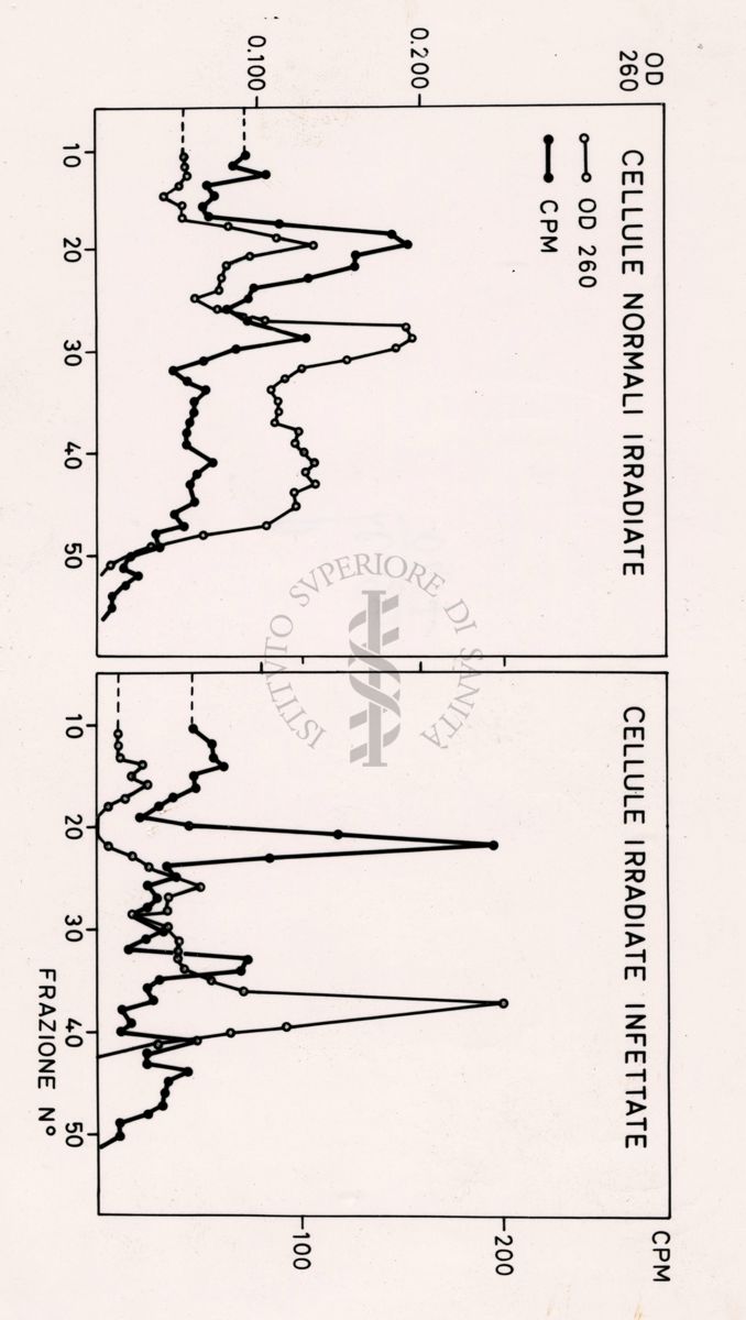 Grafici riguardanti studi microbiologici su cellule infette