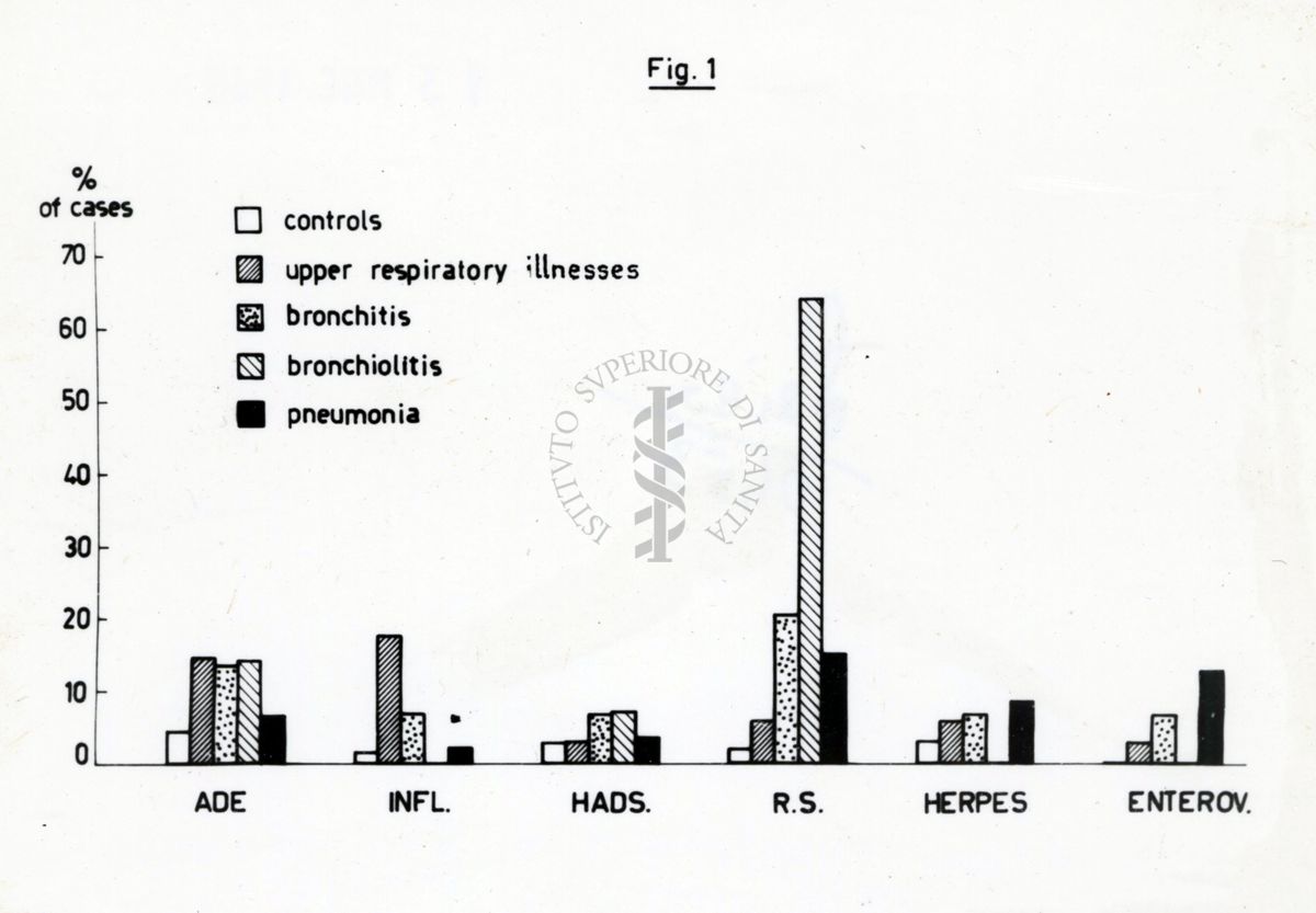 Grafico riguardante l'isolamento di vari virus: bronchite, bronchiolite e pneumonia