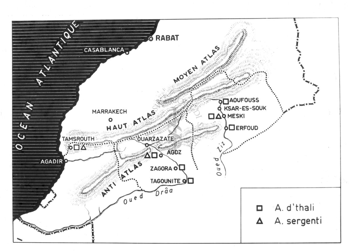 Diagramma riguardante la distribuzione di Anofeles sergenti e anofeles d'thali nel sud marocchino