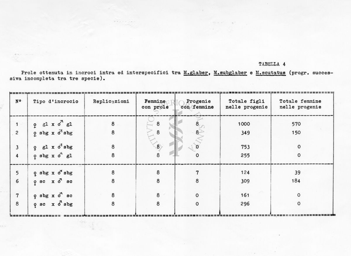Acari predatori di mosche
