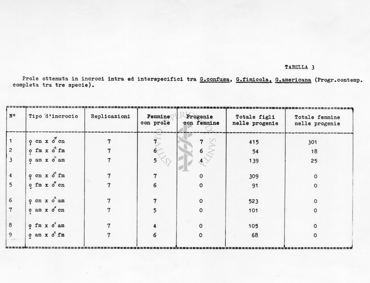 Acari predatori di mosche