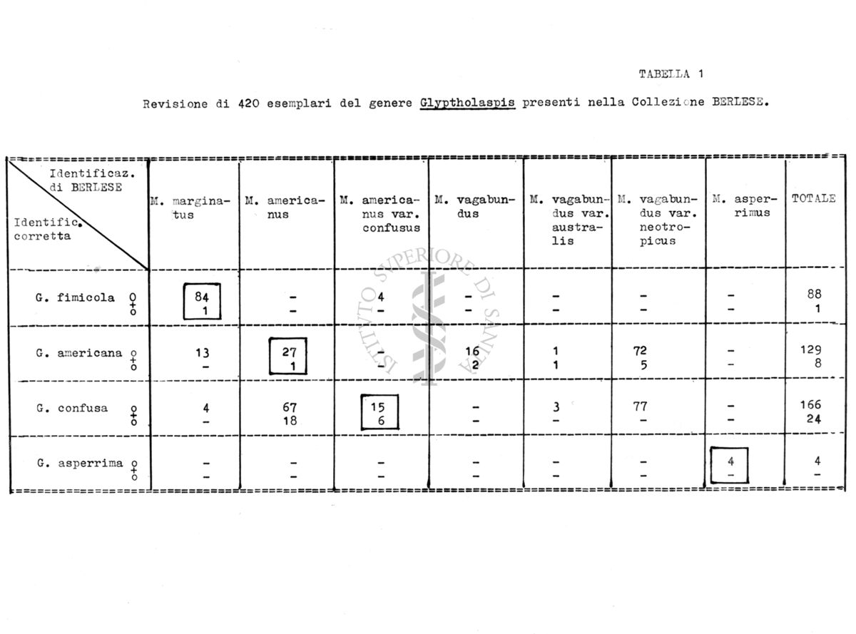 Acari predatori di mosche