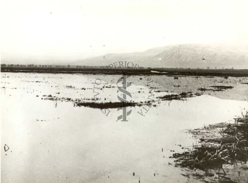 Immagine della  palude pontina. Terracina (Littoria).