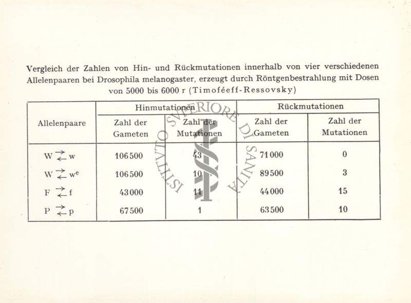 Confronti fra numeri di mutazioni dirette e inverse