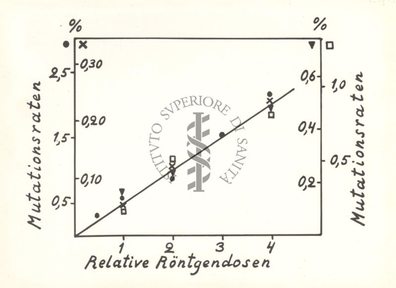 Grafico sulla frequenza di mutazioni indotte, rispetto a dosi di Raggi X su Drosofila