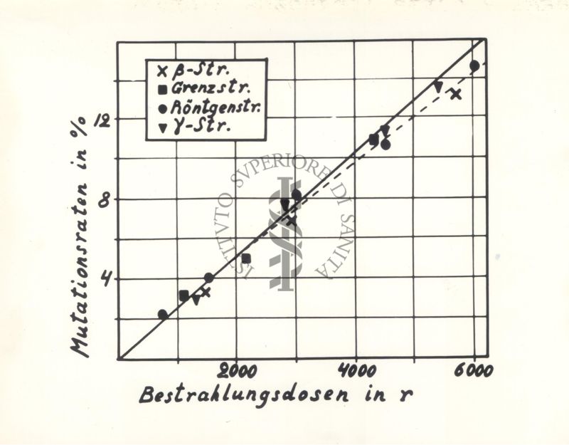 Grafico sul confronto dell'induzione di mutazioni per mezzo di Raggi Beta del Radio