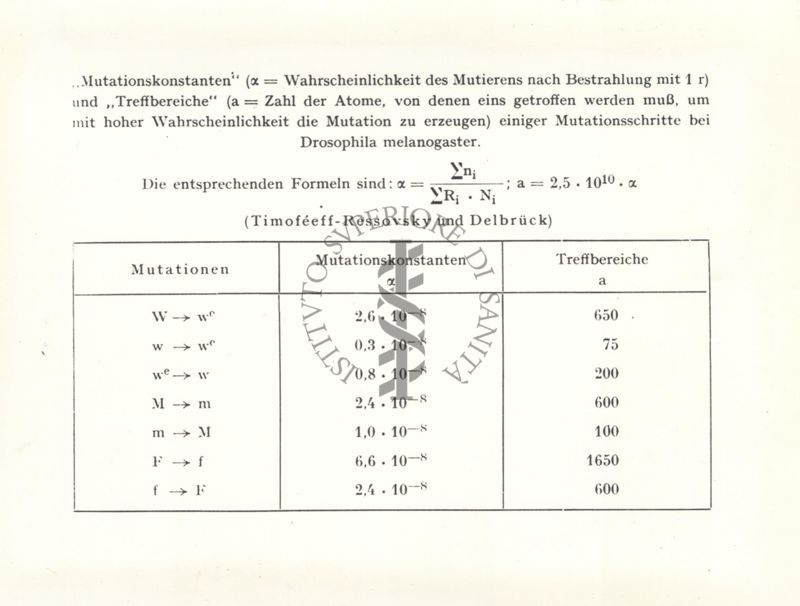Tabella sulle costanti di mutazione e ambiti d'urto di Drosofila