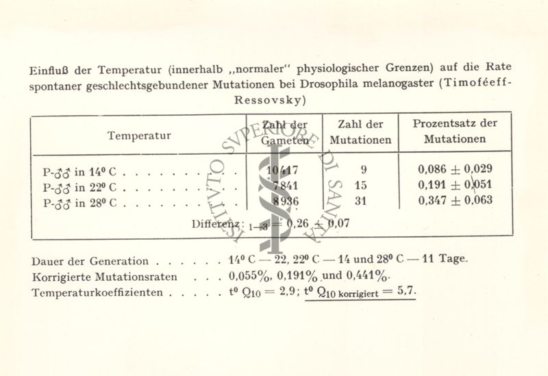 Frequenza spontanea di mutazioni legate al sesso, dalla temperatura
