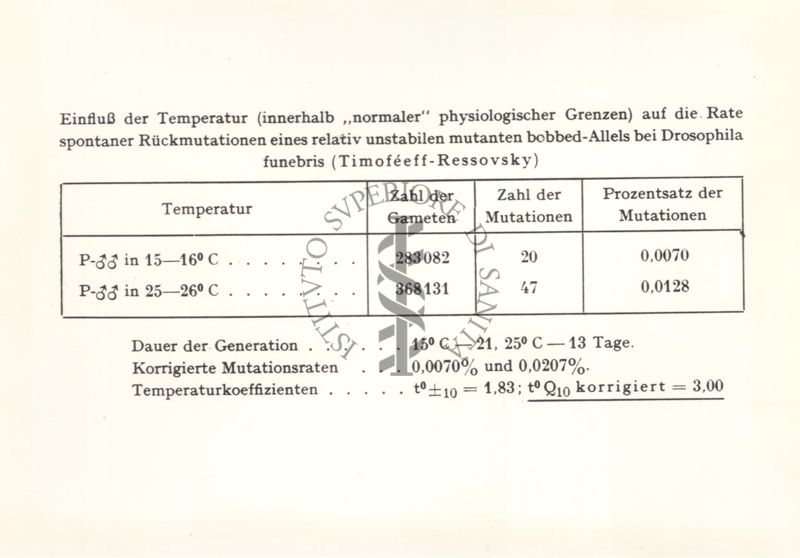 Influenza della temperatura sulla frequenza di mutazioni inversa spontanee