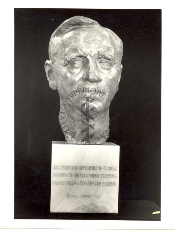 Fotografia, su fondo scuro, del busto di Sir Alexander Fleming, in bronzo dorato su base di marmo, donato all'Istituto Superiore di Sanità dalle aziende farmaceutiche Farmitalia, Leo, Lepetit e Squibb nel aprile 1955