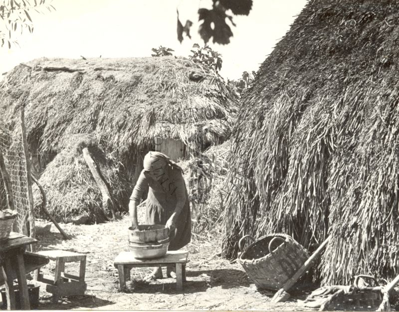 Villaggio di capanne con donna al lavoro.