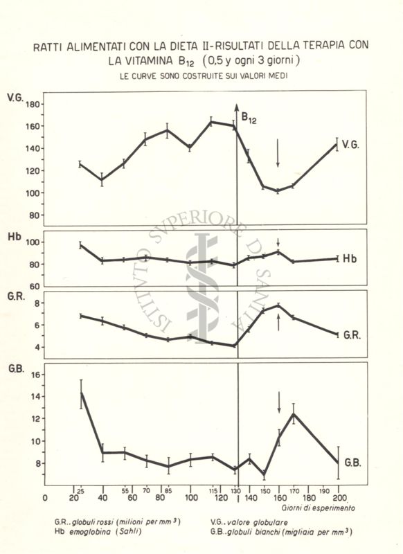 Tracciati che mostrano i risultati della terapia con Vitamina B.12