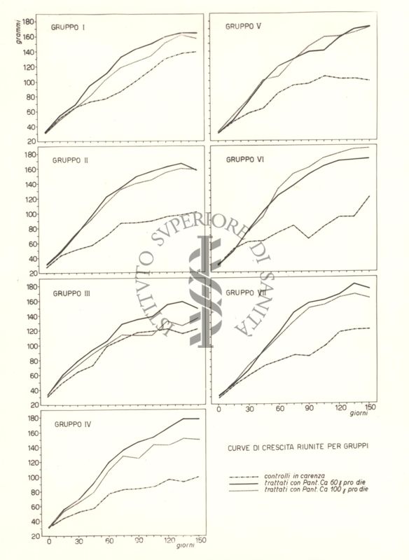 Grafici che mostrano le curve di crescita dei ratti trattati con acido pantotenico, riunite per gruppi