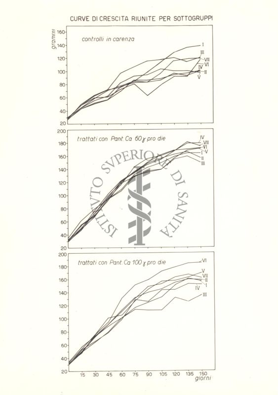 Grafici che mostrano le curve di crescita dei ratti trattati con acido pantotenico, riunite per sottogruppi