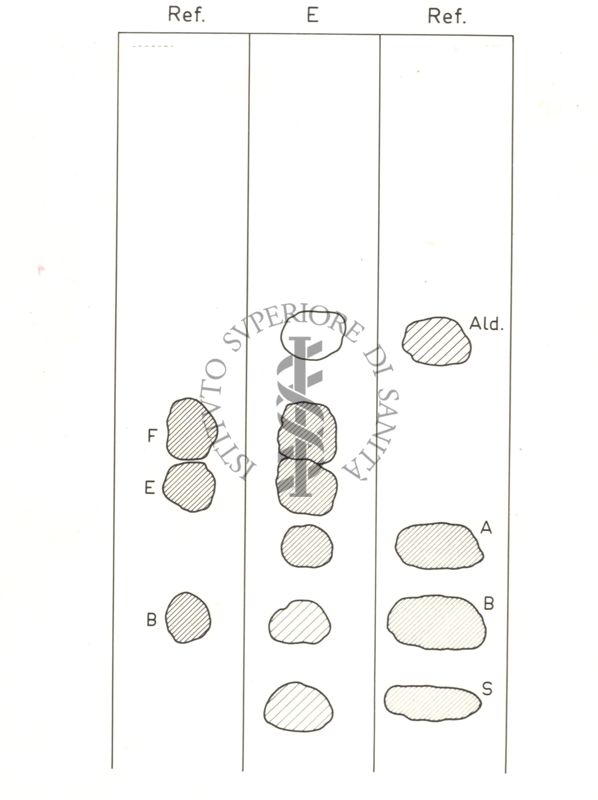 Immagine di cromatografia di steroidi col sistema E 2 B