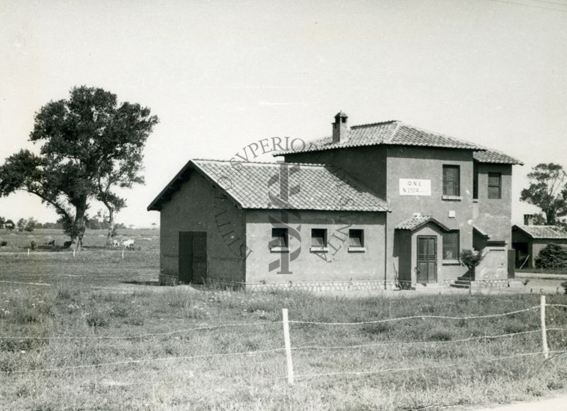 Nuova casa colonica (O.N.C.)