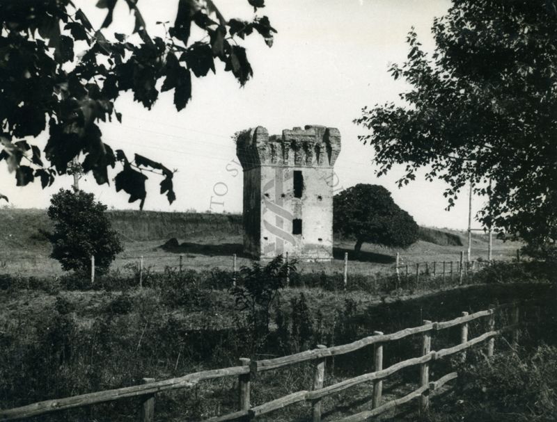 Pineta Tor San Lorenzo (Ardea)