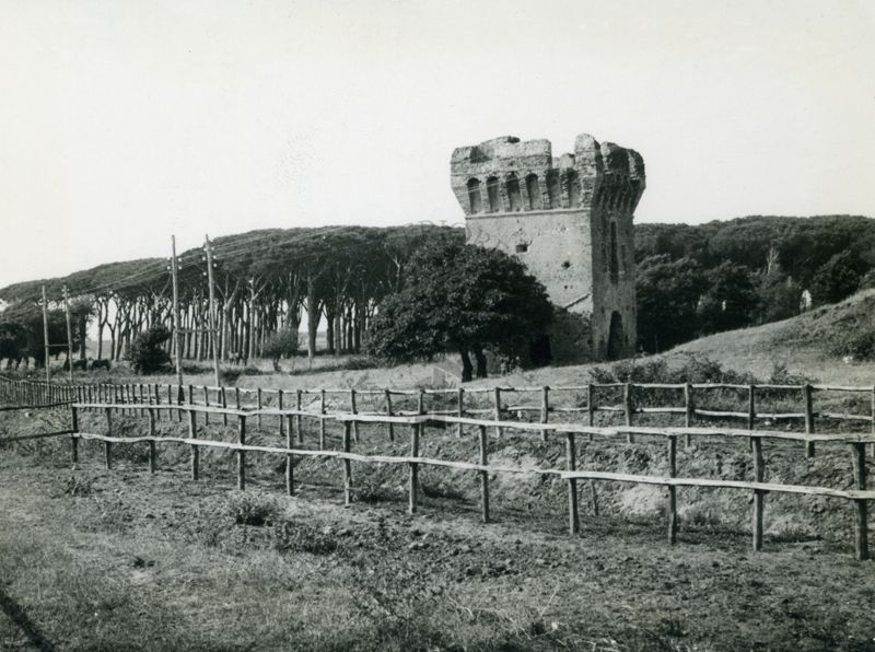 Pineta Tor San Lorenzo (Ardea)