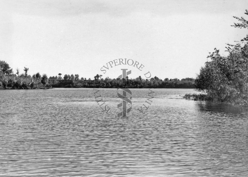 Lago di Isoletta del Liri - dopo l'esportazione della vegetazione